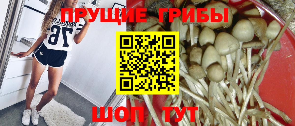 Галлюциногенные грибы прущие грибы Наро-Фоминск
