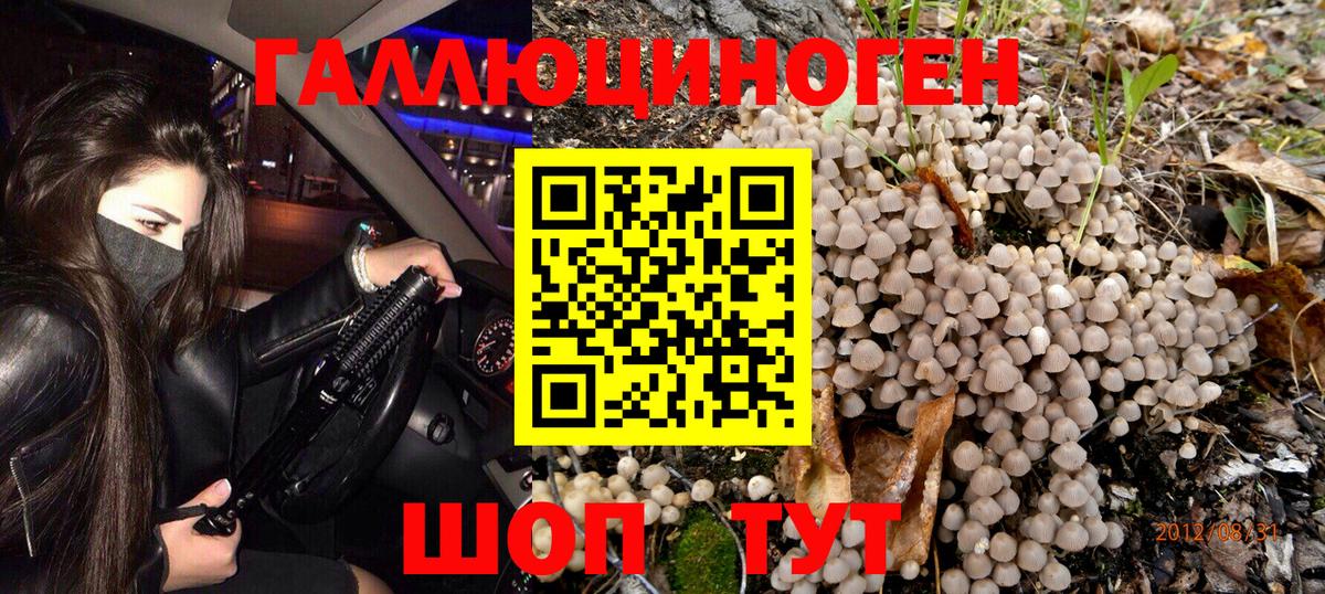 Наро-Фоминск  Псилоцибиновые грибы Psilocybe  Вход с VPN 